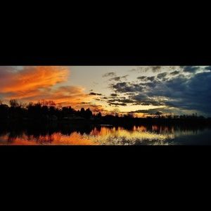 Meet your Posher, Sophia